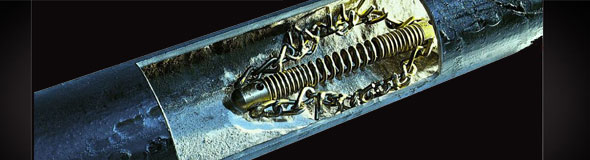 Mechaniczne udrażnianie kanalizacji